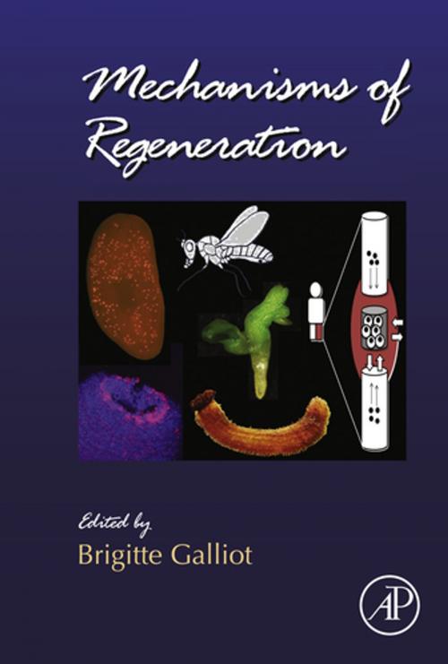 Cover of the book Mechanisms of Regeneration by Brigitte Galliot, Elsevier Science