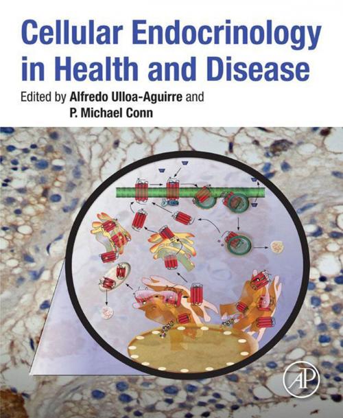Cover of the book Cellular Endocrinology in Health and Disease by , Elsevier Science