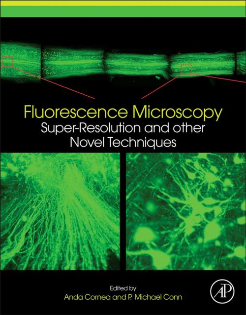 Cover of the book Fluorescence Microscopy by , Elsevier Science