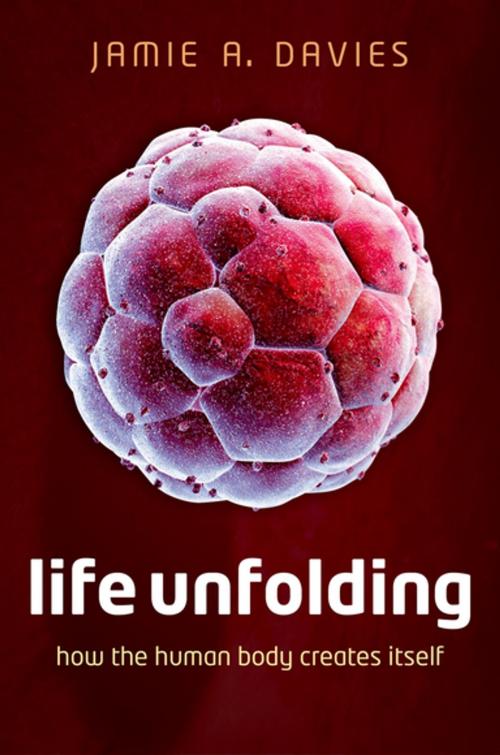Cover of the book Life Unfolding by Jamie A. Davies, OUP Oxford