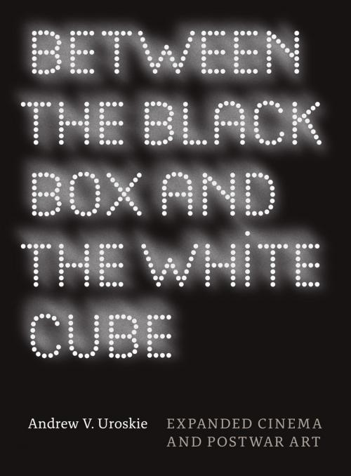 Cover of the book Between the Black Box and the White Cube by Andrew V. Uroskie, University of Chicago Press
