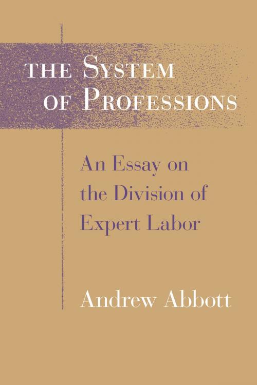 Cover of the book The System of Professions by Andrew Abbott, University of Chicago Press