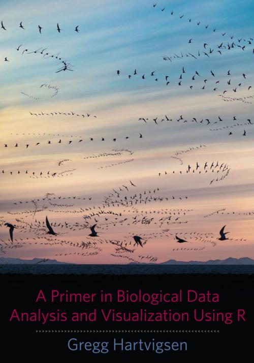 Cover of the book A Primer in Biological Data Analysis and Visualization Using R by Gregg Hartvigsen, Columbia University Press