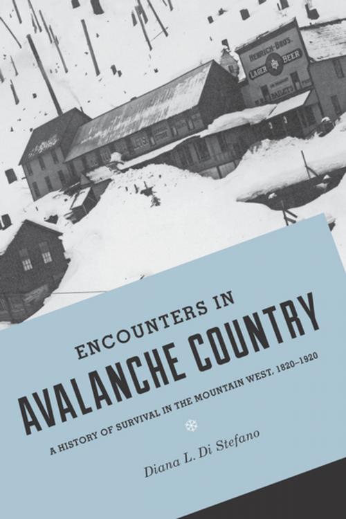 Cover of the book Encounters in Avalanche Country by Diana L. Di Stefano, University of Washington Press
