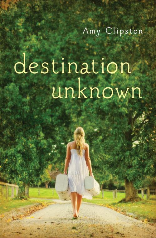 Cover of the book Destination Unknown by Amy Clipston, Zondervan