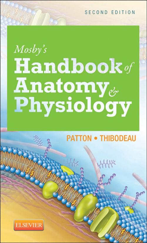 Cover of the book Mosby's Handbook of Anatomy & Physiology - E-Book by Kevin T. Patton, PhD, Gary A. Thibodeau, PhD, Elsevier Health Sciences