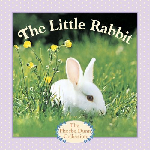 Cover of the book The Little Rabbit by Judy Dunn, Random House Children's Books