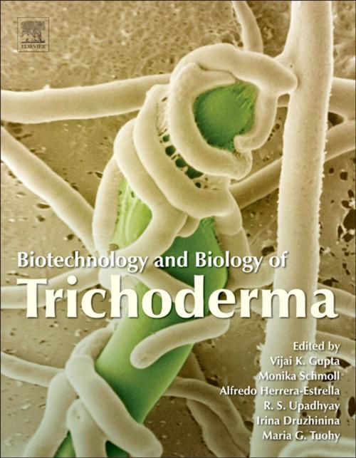 Cover of the book Biotechnology and Biology of Trichoderma by , Elsevier Science