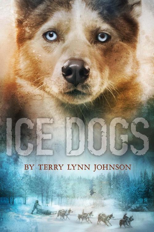 Cover of the book Ice Dogs by Terry Lynn Johnson, HMH Books