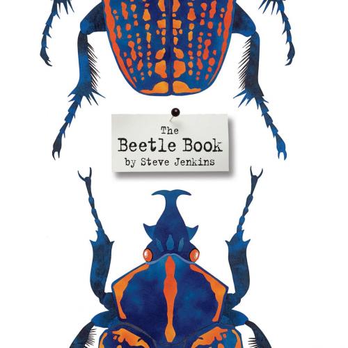 Cover of the book The Beetle Book by Steve Jenkins, HMH Books