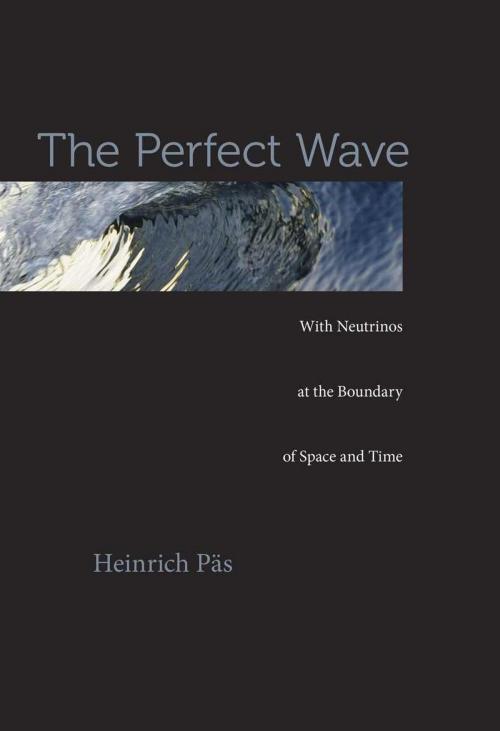 Cover of the book The Perfect Wave by Heinrich Päs, Harvard University Press