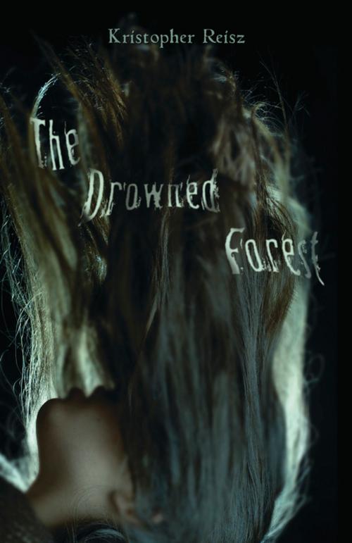 Cover of the book The Drowned Forest by Kristopher Reisz, North Star Editions