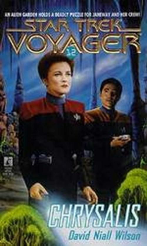 Cover of the book Chrysalis by David Niall Wilson, Pocket Books/Star Trek