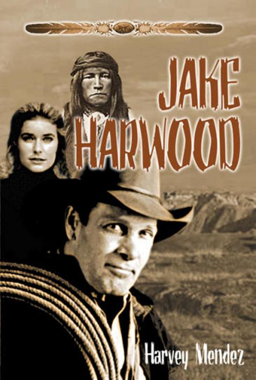 Cover of the book Jake Harwood: A Western by Harvey Mendez, SynergEbooks