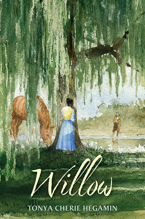 Cover of the book Willow by Tonya Cherie Hegamin, Candlewick Press
