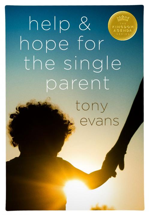 Cover of the book Help and Hope for the Single Parent by Tony Evans, Moody Publishers