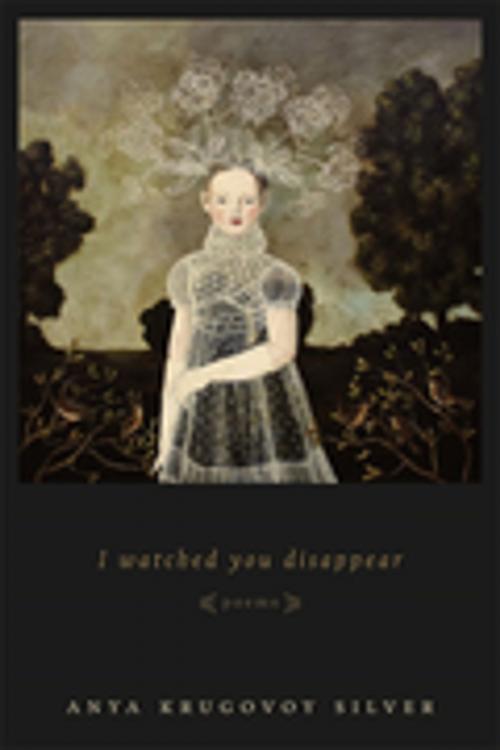 Cover of the book I Watched You Disappear by Anya Krugovoy Silver, LSU Press