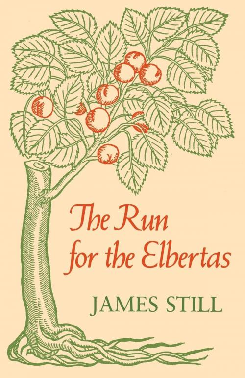 Cover of the book The Run for the Elbertas by James Still, The University Press of Kentucky