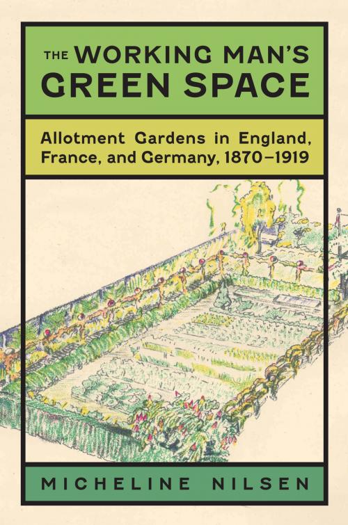 Cover of the book The Working Man's Green Space by Micheline Nilsen, Brooks M. Barnes, University of Virginia Press