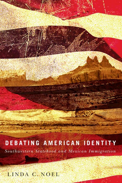 Cover of the book Debating American Identity by Linda C. Noel, University of Arizona Press