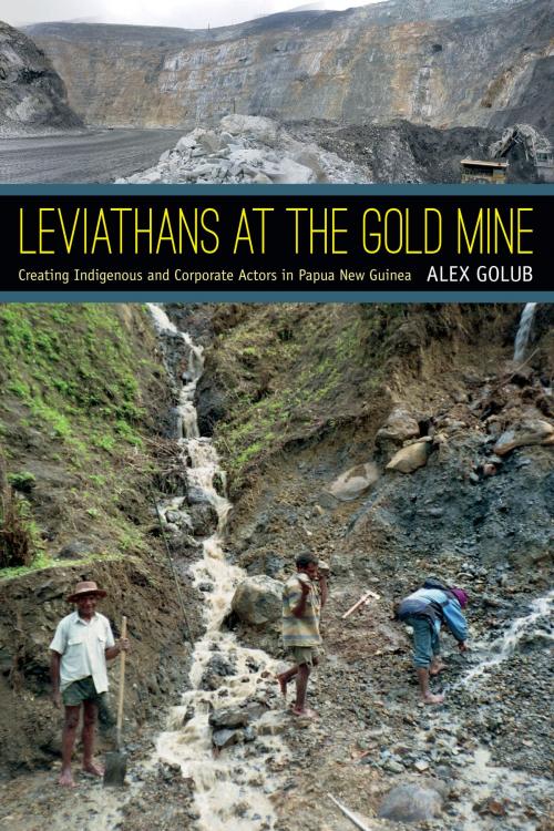 Cover of the book Leviathans at the Gold Mine by Alex Golub, Duke University Press