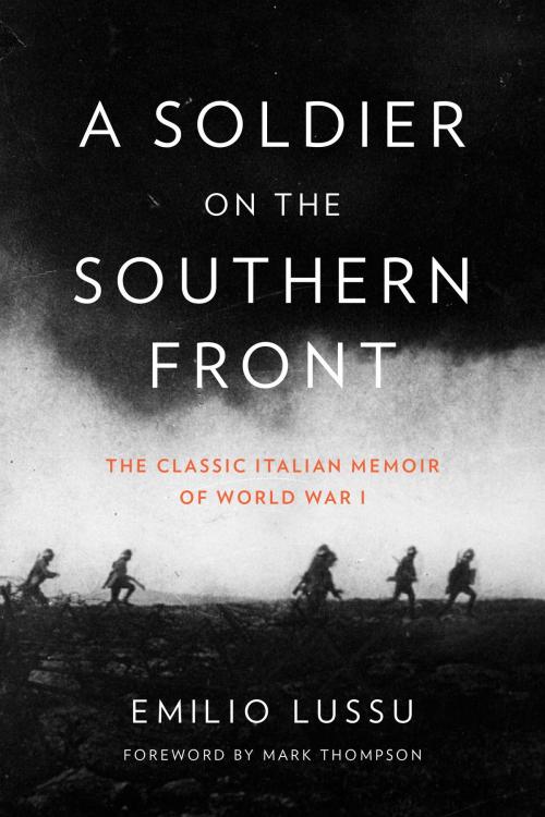 Cover of the book A Soldier on the Southern Front by Emilio Lussu, Rizzoli
