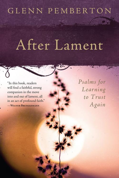 Cover of the book After Lament by Glenn Pemberton, Abilene Christian University Press