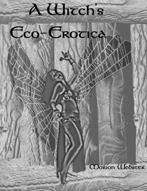 Cover of the book A Witch's Eco-Erotica by Morion Webster, Morion