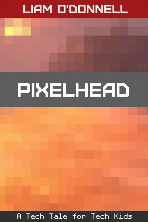 Cover of the book Pixelhead by Liam O'Donnell, Feeding Change Media