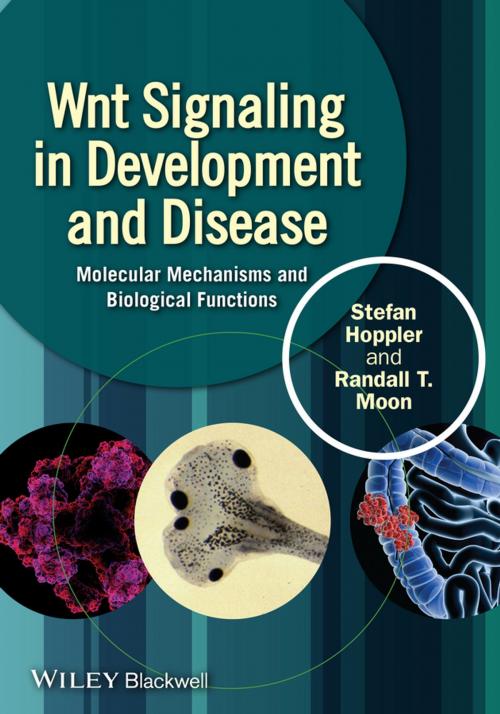 Cover of the book Wnt Signaling in Development and Disease by Stefan P. Hoppler, Randall T. Moon, Wiley