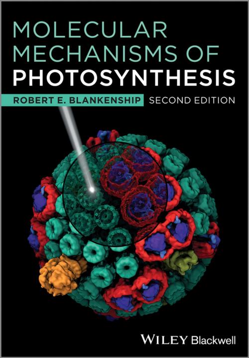Cover of the book Molecular Mechanisms of Photosynthesis by Robert E. Blankenship, Wiley
