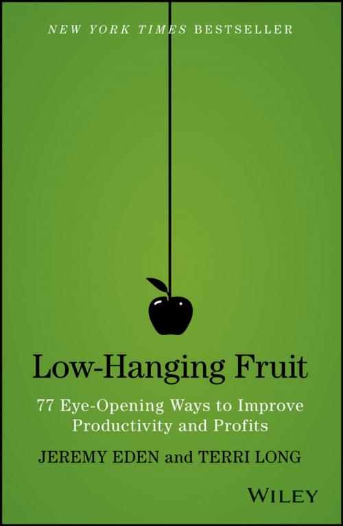 Cover of the book Low-Hanging Fruit by Jeremy Eden, Terri Long, Wiley