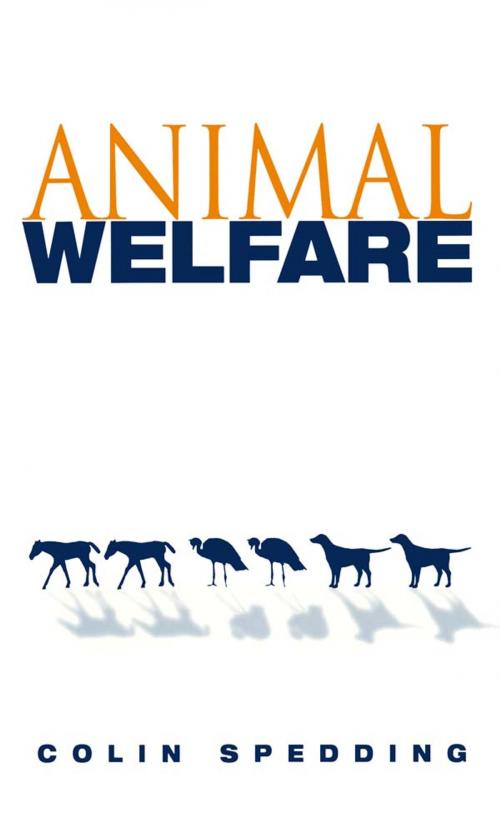 Cover of the book Animal Welfare by Sir Colin Spedding, Taylor and Francis