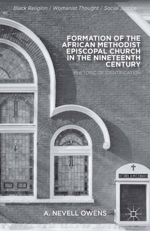Cover of the book Formation of the African Methodist Episcopal Church in the Nineteenth Century by A. Owens, Palgrave Macmillan US