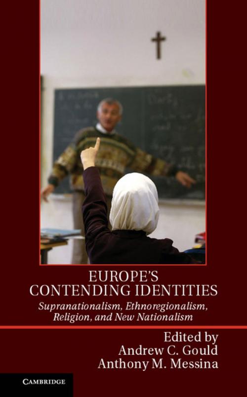Cover of the book Europe's Contending Identities by , Cambridge University Press