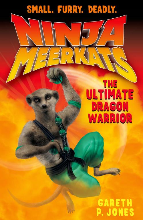 Cover of the book Ninja Meerkats (#7) The Ultimate Dragon Warrior by Gareth P. Jones, Square Fish