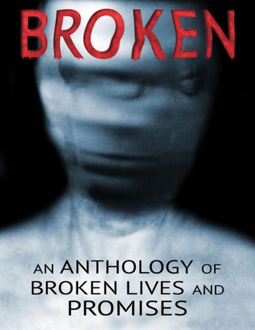 Cover of the book Broken by Thirteen Press, Lulu.com
