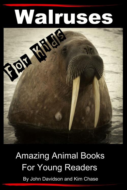 Cover of the book Walruses: For Kids - Amazing Animal Books for Young Readers by John Davidson, Kim Chase, JD-Biz Corp Publishing
