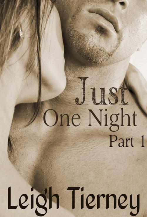 Cover of the book Just One Night by Leigh Tierney, Leigh Tierney