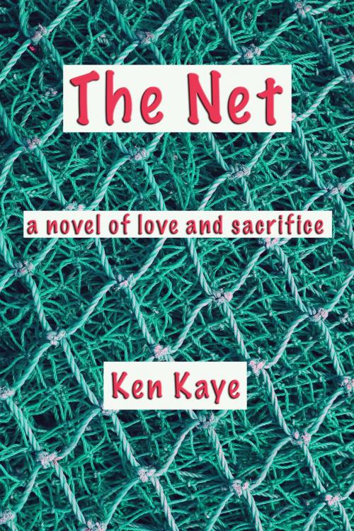Cover of the book The Net by Ken Kaye, Ken Kaye