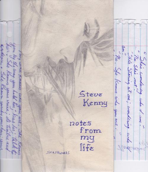 Cover of the book Notes From My Life by Steve Kenny, Steve Kenny