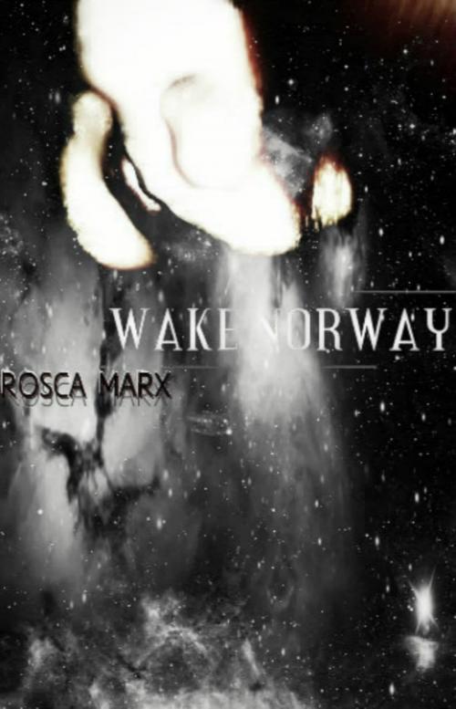 Cover of the book Wake Norway by Rosca Marx, Rosca Marx