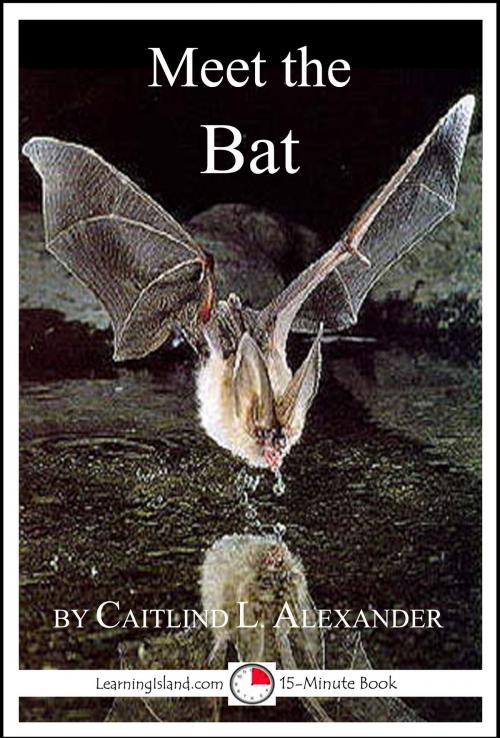 Cover of the book Meet the Bat: A 15-Minute Book for Early Readers by Caitlind L. Alexander, LearningIsland.com