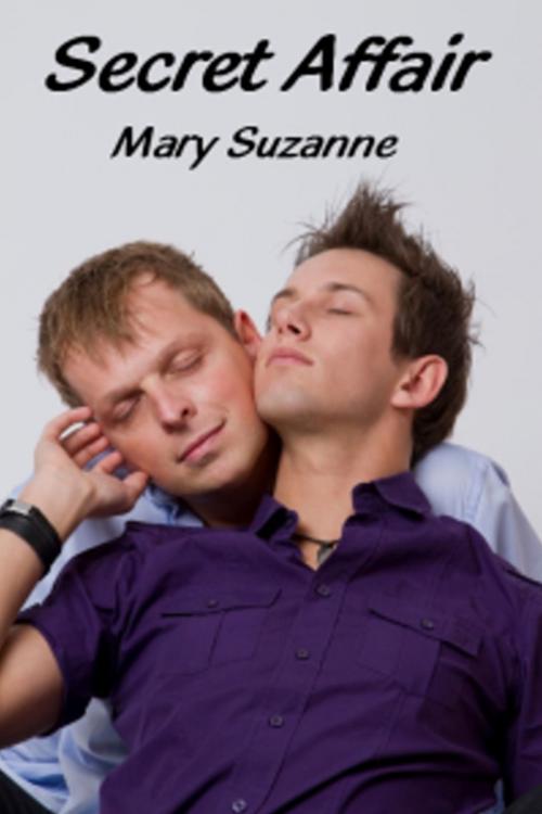Cover of the book Secret Affair by Mary Suzanne, Mary Suzanne