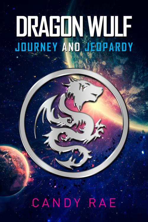 Cover of the book Journey and Jeopardy by Candy Rae, Candy Rae