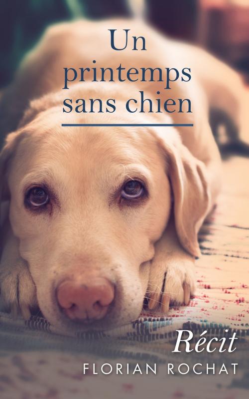 Cover of the book Un printemps sans chien by Florian Rochat, Florian Rochat