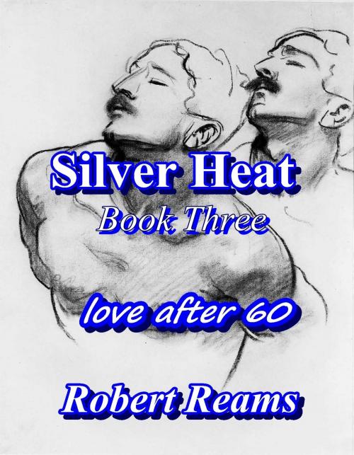 Cover of the book Silver Heat, Book Three by Robert Reams, Robert Reams