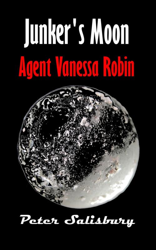 Cover of the book Junker's Moon: Agent Vanessa Robin by Peter Salisbury, Peter Salisbury