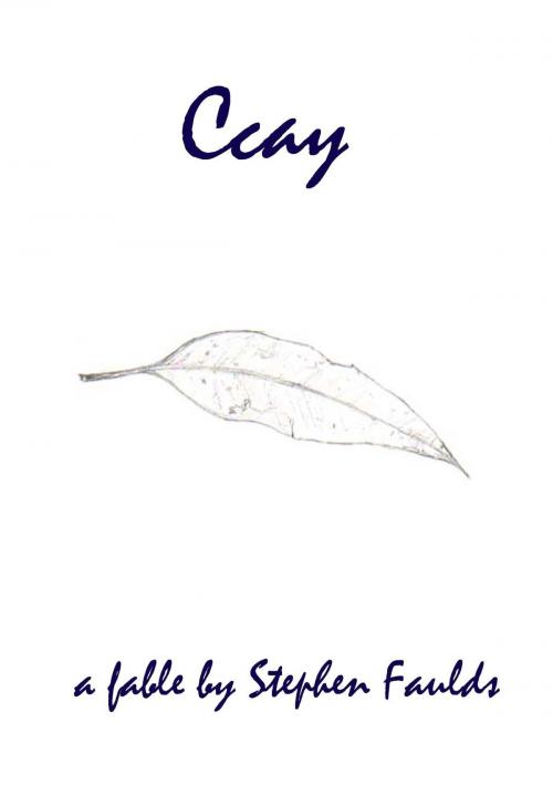 Cover of the book Ccay by Stephen Faulds, Stephen Faulds