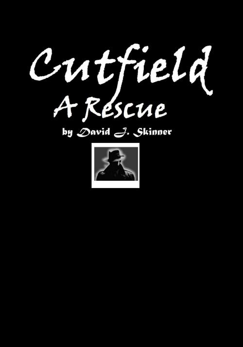 Cover of the book A Rescue by David J. Skinner, David J. Skinner